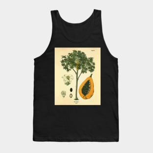 Vintage Nature illustration of Papaya Tank Top